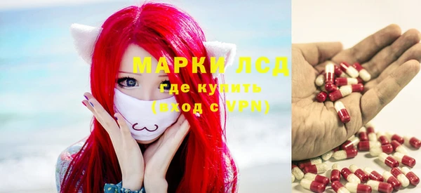 ГАЛЛЮЦИНОГЕННЫЕ ГРИБЫ Белоозёрский