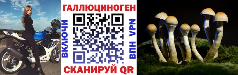 Купить закладки  Лабинск  Псилоцибиновые грибы мицелий 